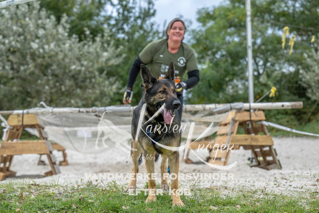 1020_ZZ93748 | kk-dogfotos