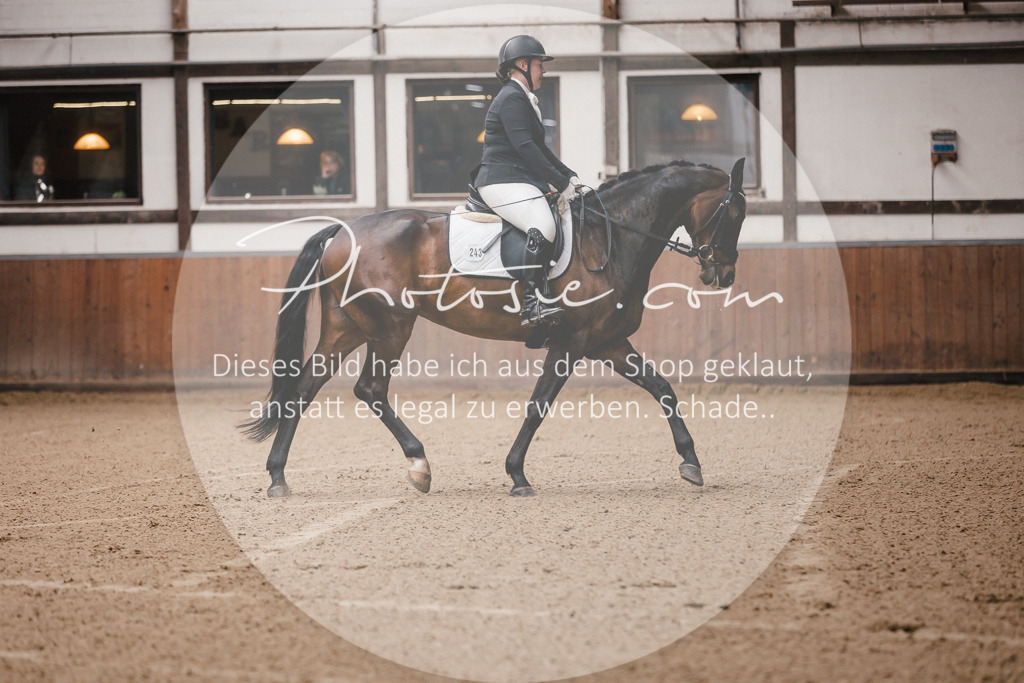 3I6A7068 | Stimmungsvolle Portraits und Reitsportfotografie im Ruhrgebiet und im Münsterland.

Pferdefotografie, Hundefotografie, Tierfotografie, Reportagen, Portraits von Tier und Mensch, Turnierfotografie in Bochum, Recklinghausen, Marl, Haltern am See, Dülmen.. - Realisiert mit Pictrs.com
