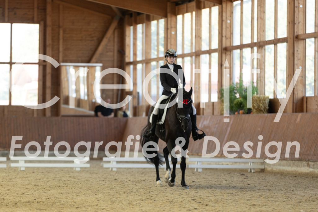 IMG_9007 | Creatify Fotografie