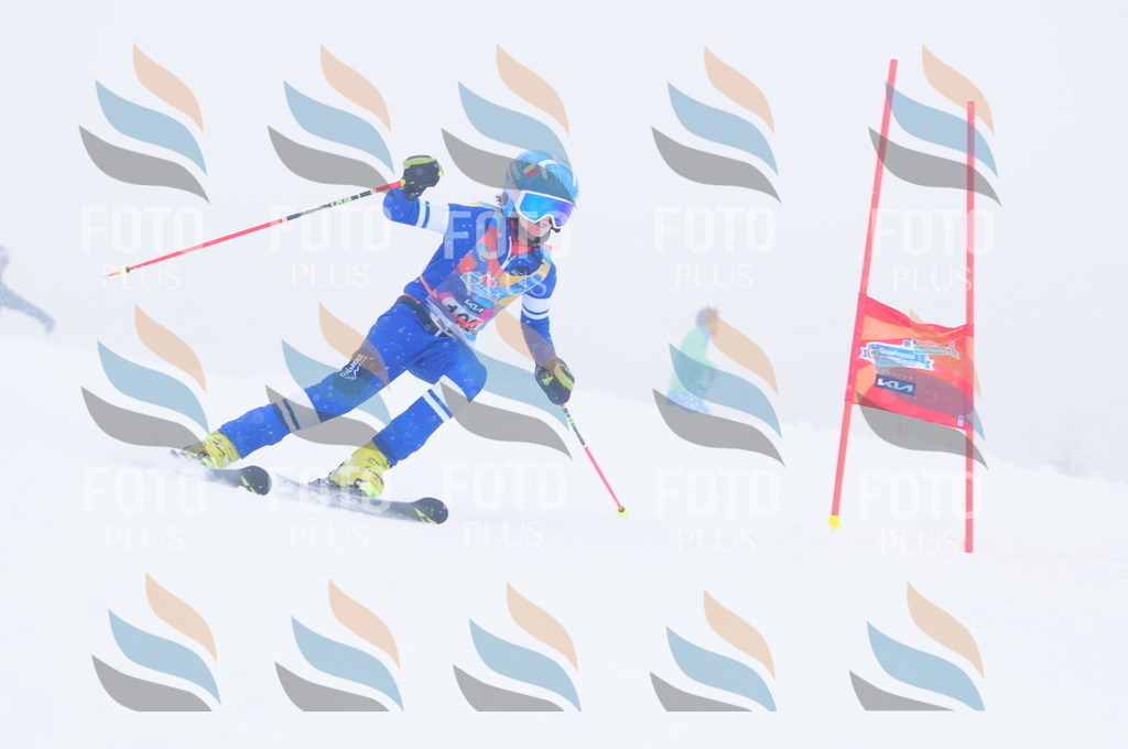 C2158 | holidayphoto