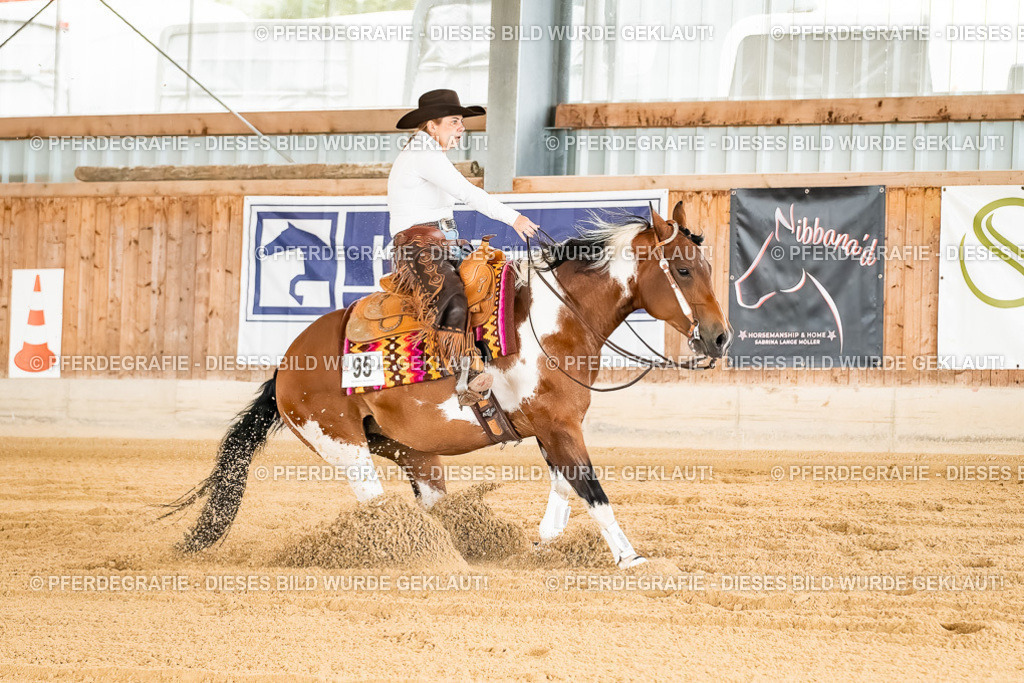 DSC01941 | Pferdegrafie