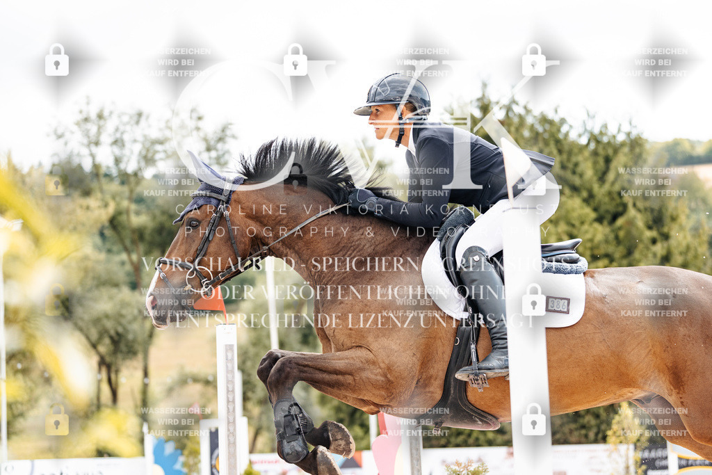 CK909264 | Turnierfotografie Pferdefotografie Trier Rheinland-Pfalz Pferdesport Reitsport Tierfotografie Sportfotografie Pferdevideo Pferdevideografie Equestrianvideography equestrianphotography  - Realisiert mit Pictrs.com