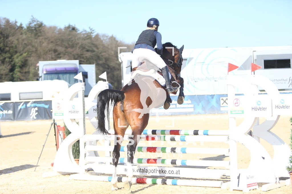 DL2Q0525 | Willkommen bei Brunnmayr - Design & Fotografie – Ihrem Spezialisten für Reitturniere und Pferdeveranstaltungen in Oberösterreich, Salzburg und Bayern! Seit über 17 Jahren sind wir leidenschaftlich dabei.