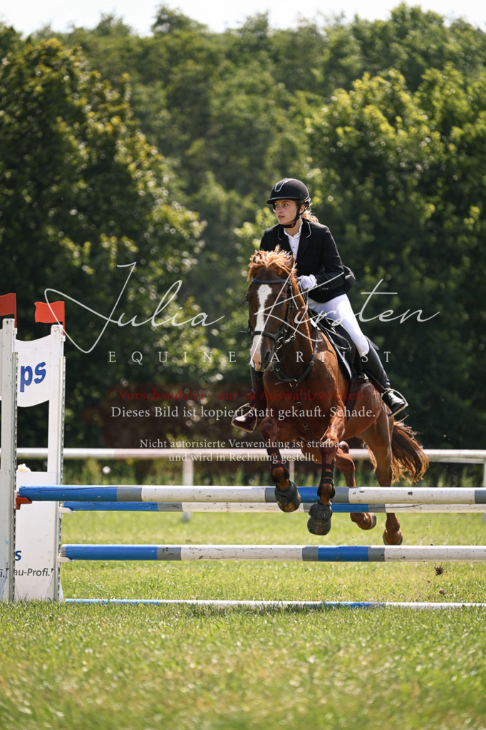 DSC_9040 | Pferde- und Turnierfotografie in Westsachsen. Pferdeportraits, Auftragszeichnungen und intuitive Kunst.