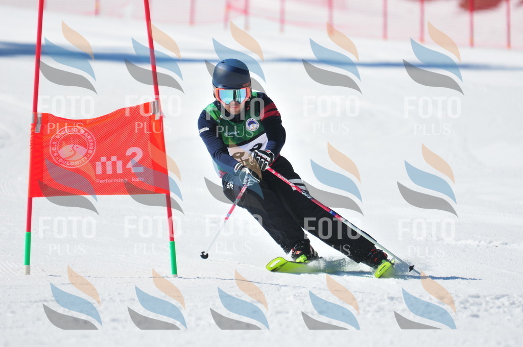 C3323 | holidayphoto