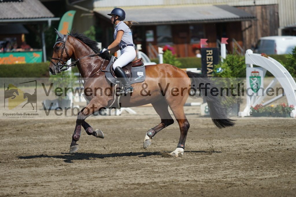 DSC01585 | equestrian-live-com