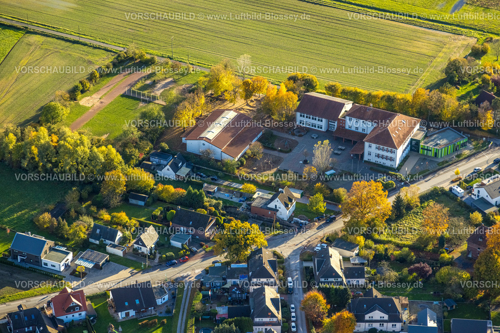Hamm231101755 | Luftbild, Grundschule Im grünen Winkel, Wohnsiedlung umgeben von herbstlichen Laubbäumen, Uentrop, Hamm, Ruhrgebiet, Nordrhein-Westfalen, Deutschland