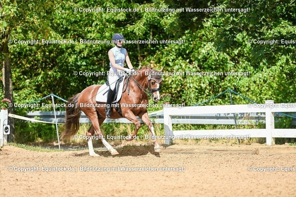 20230716_01_Dressurprüfung Kl.M_0263 | equistock