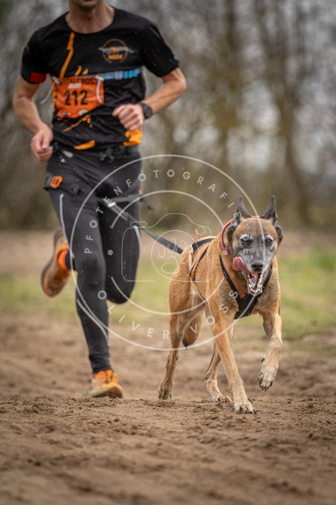 Pfotenfotografie_DV3A0433 | Hundefotografie, Tierfotograf, Pfotenfotografie, Fotoshooting Hund, Hunde Portrait, Hundesport, Hundeportraits, Heideshooting, Hunde, Sportfotograf, Hundefotograf, Turnierhundsport, THS,  - Realisiert mit Pictrs.com
