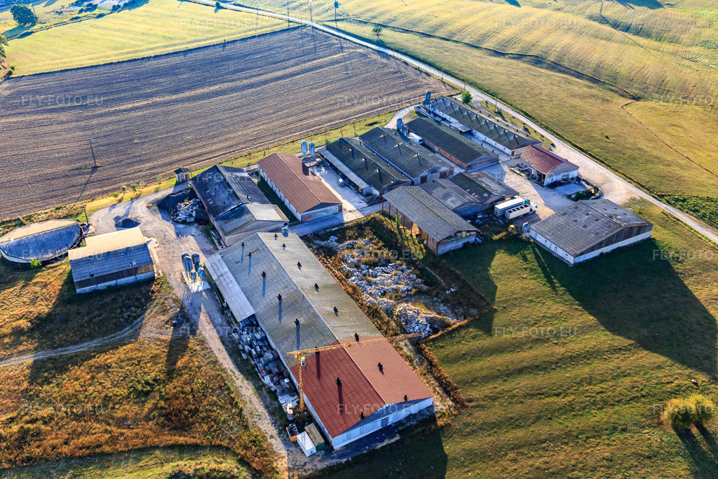 Vue aérienne: Porcheries de Multipig SCEA à Norroy dans le département Vosges, France – .Photo: IMG_118435.jpg prise le 16/09/2019 par Werner Riehm/FLY-FOTO.eu – Résolution de l'original: 5472 x 3648 px