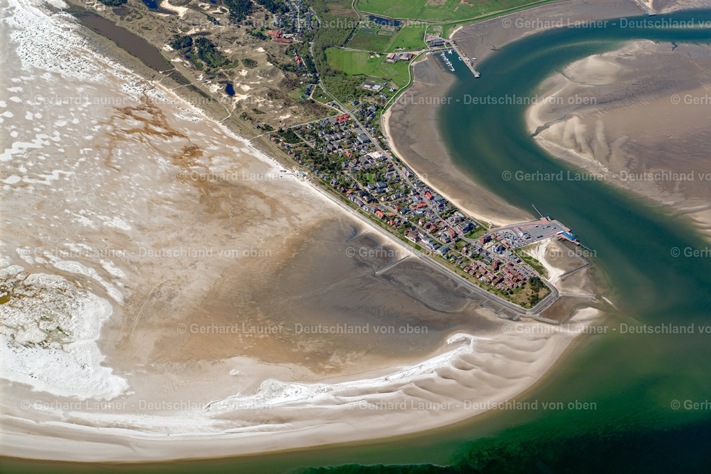 3801697 | Amrum, Nationalpark Schleswig-Holsteinisches Wattenmeer