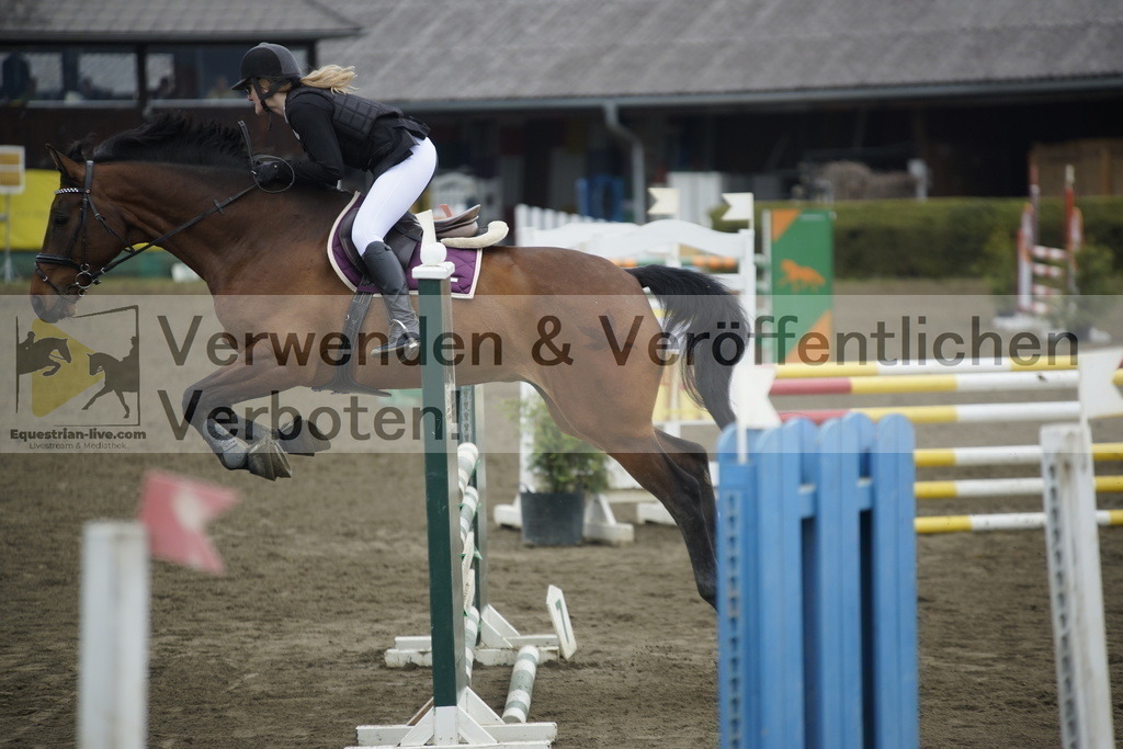 _DSC6809 | equestrian-live-com