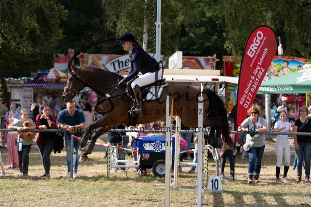 A7V09354 | Pferdefotograf