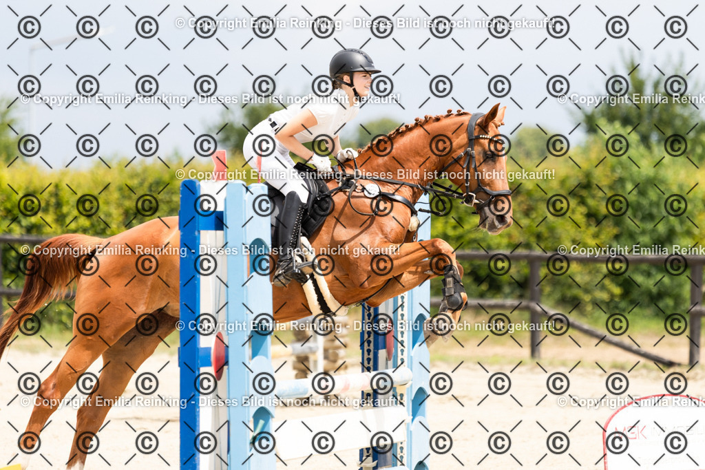 CL5A9001 | Emilia Reinking Fotografie - Realisiert mit Pictrs.com