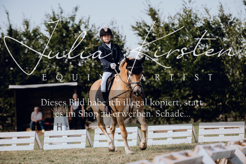 DSC_6978 | Pferde- und Turnierfotografie in Westsachsen. Pferdeportraits, Auftragszeichnungen und intuitive Kunst.