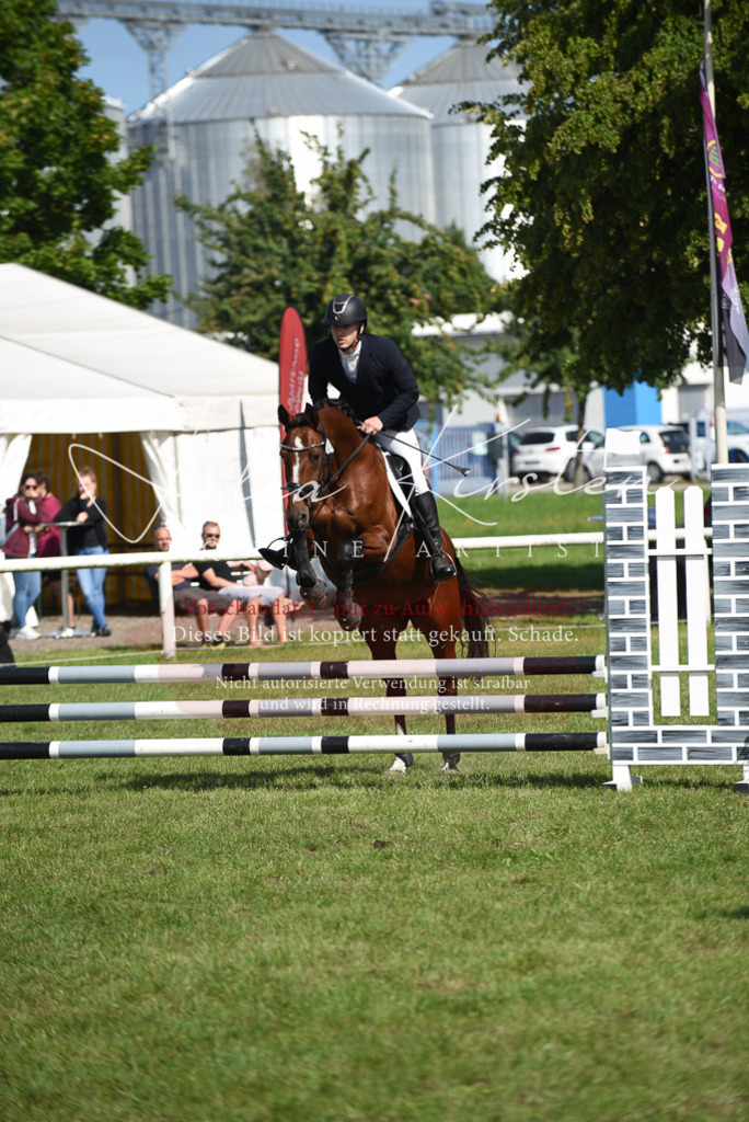 DSC_9037 | Pferde- und Turnierfotografie in Westsachsen. Pferdeportraits, Auftragszeichnungen und intuitive Kunst.