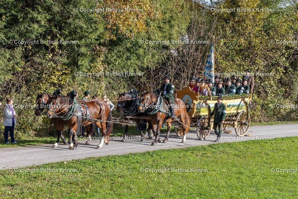 LBT24-389 | foto-bettina-krinner - Realisiert mit Pictrs.com