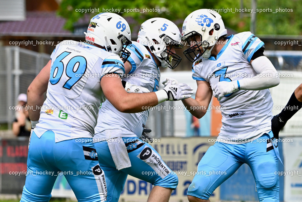 Carinthian Lions vs. Styrian Bears | Carinthian Lions vs. Styrian Bears, Carinthian Lions vs. Styrian Bears am 20.05.2024 in Klagenfurt (ASV Sportplatz), Austria, (Photo by Bernd Stefan)