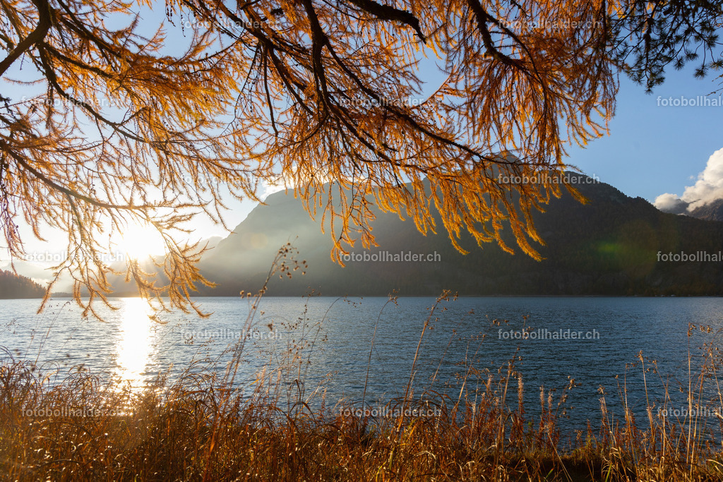 IMG_0464_1 | Foto Bollhalder 