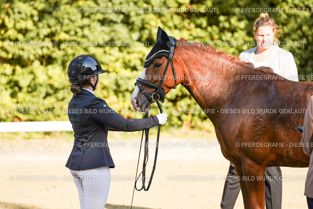 DSC06589 | Pferdegrafie