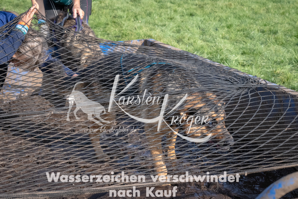 1640_ZZ92716 | kk-dogfotos