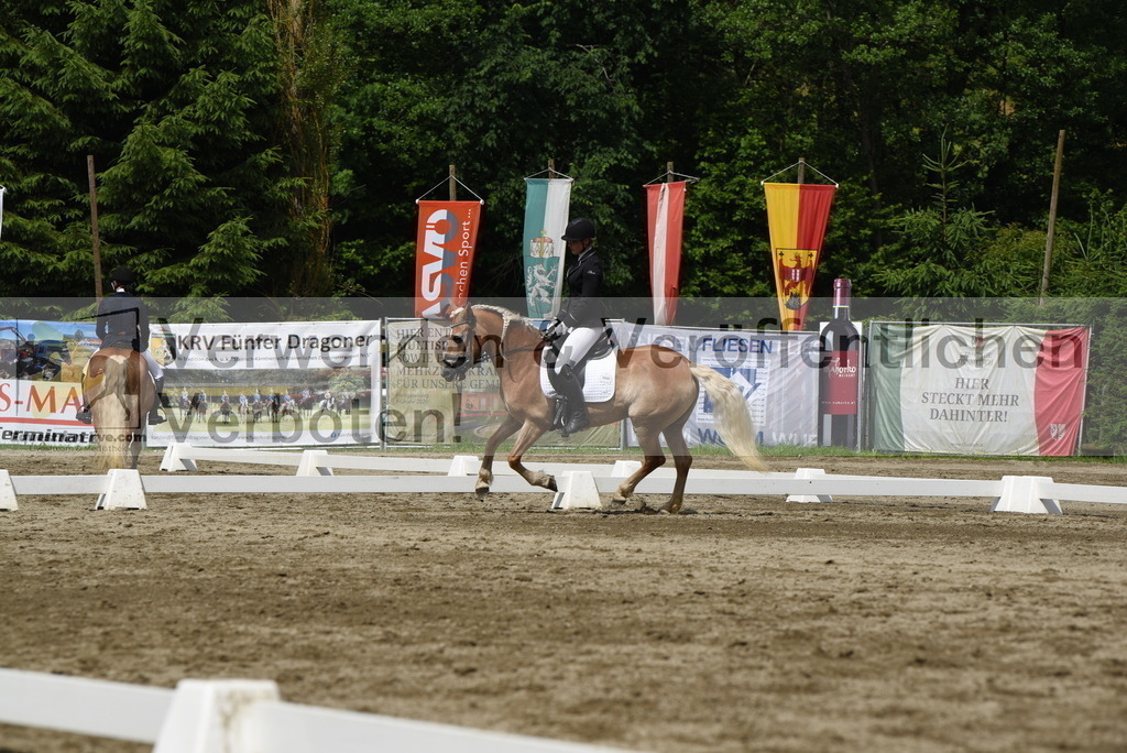 DSC_8549 | equestrian-live-com