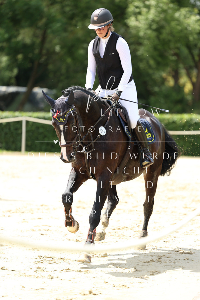 IMGM1850 | pl-fotografie