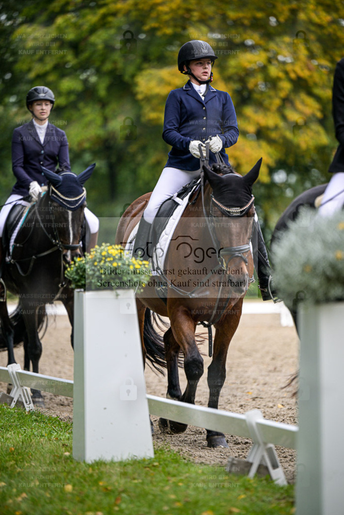FOTO OGER | Entdecke hochwertige Reitturnierfotos von Foto Oger. Professionell, emotional und authentisch – jetzt Lieblingsmomente im Shop bestellen. - Realisiert mit Pictrs.com