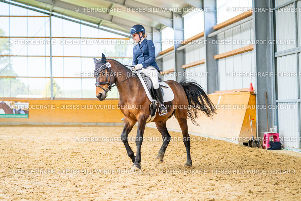 DSC08232 | Pferdegrafie