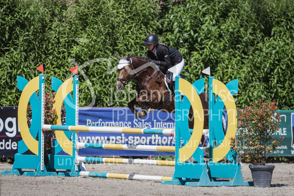 230610_Mühlen_A-Spr1-651 | Deine schönsten Turniermomente als professionelle Fotos! Entdecke hochwertige Pferdesport-Fotografie im Online-Shop. Jetzt Fotos finden & bestellen!