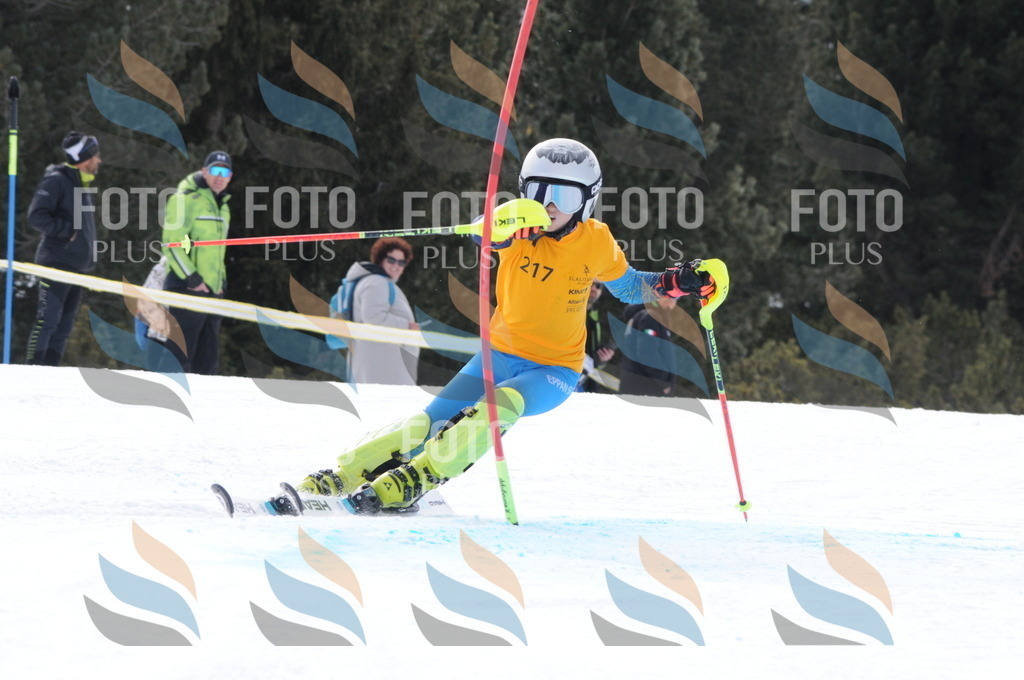 C7597 | holidayphoto