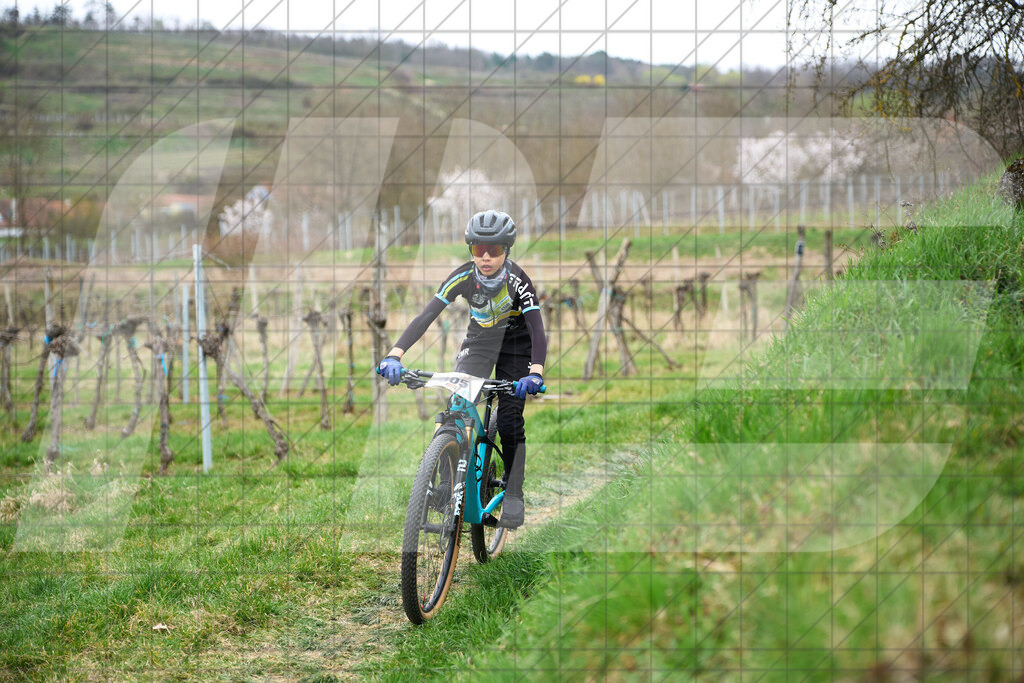 34. KTM Kamptal Trophy  | ZÖBING, Österreich – 2026-03-28: 34. KTM Kamptal TrophyFoto: © 2026 Martin Bihounek - MB Creative e.U.