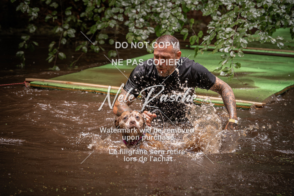 nelerasche_Wingst_Sa1330-1400_13 | nelerasche