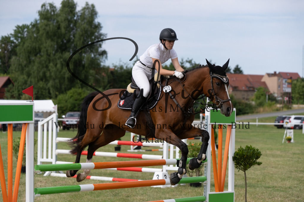 A7V01426 | Pferdefotograf