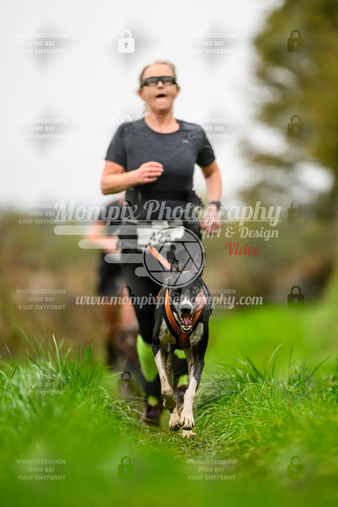 MompixPhotography_20TSB_E8_Run-60 | PayLife
