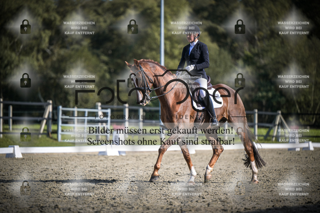 DOS_3698 | Entdecke hochwertige Reitturnierfotos von Foto Oger. Professionell, emotional und authentisch – jetzt Lieblingsmomente im Shop bestellen.Deutschlandweite Turnierfotografie. - Realisiert mit Pictrs.com