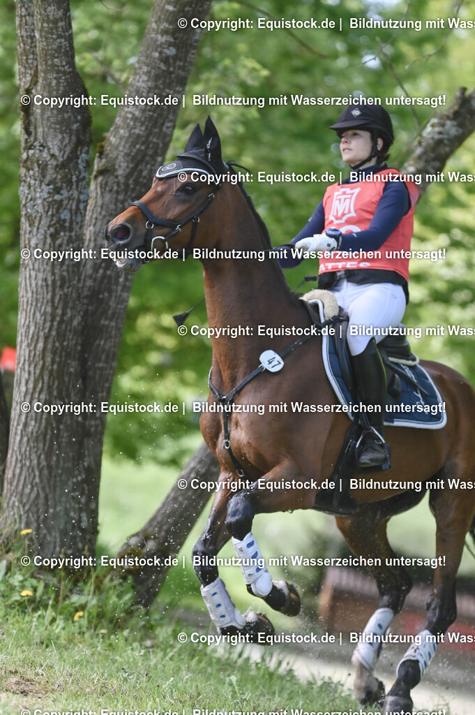 20250517_CCI2_Gelände_1094 | Foto: Thomas Hartig