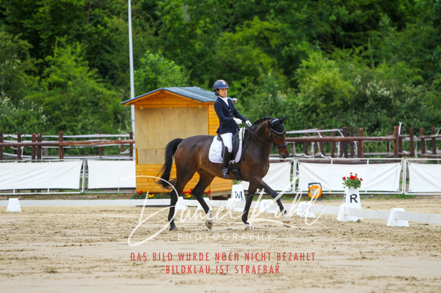 DKP46230 | Turniersportfotografie; Pferdefotografie; Dressurfotografie