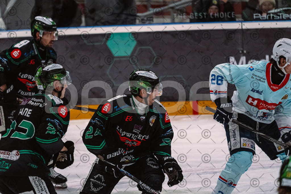 Alligators_vs_Heilbronn_08_02_2026-11 | Höchstadt Alligators Fotogalerie: Eishockey-Action aus Franken. Professionelle Spielfotos, Portraits & Stadionbilder zum Download. Jetzt entdecken! - Realized with Pictrs.com