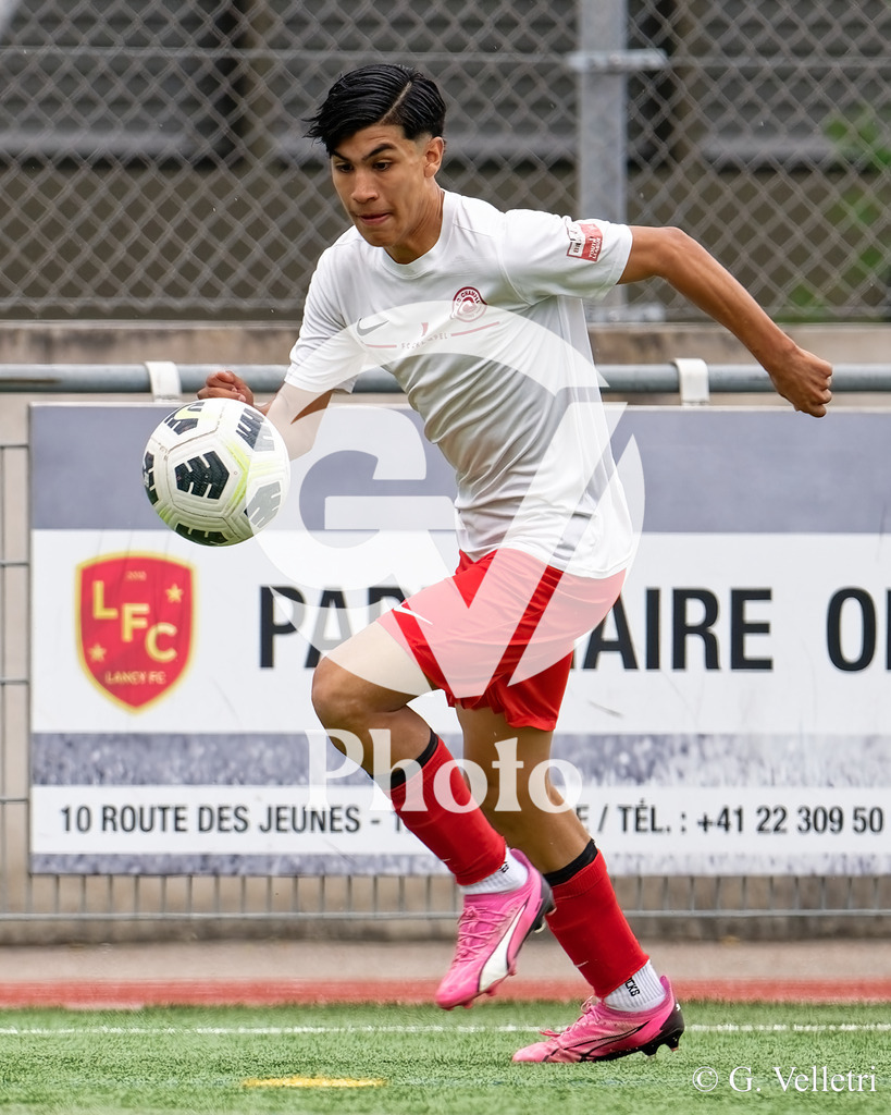 DSC_6604 | Velletri Photo