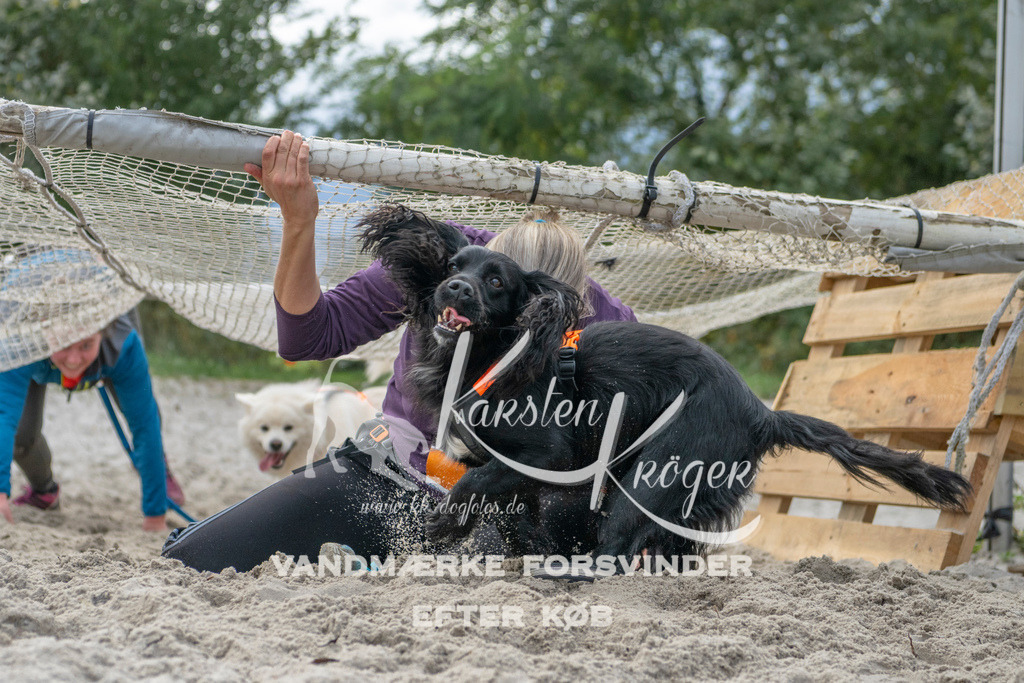 1137_ZZ98385 | kk-dogfotos