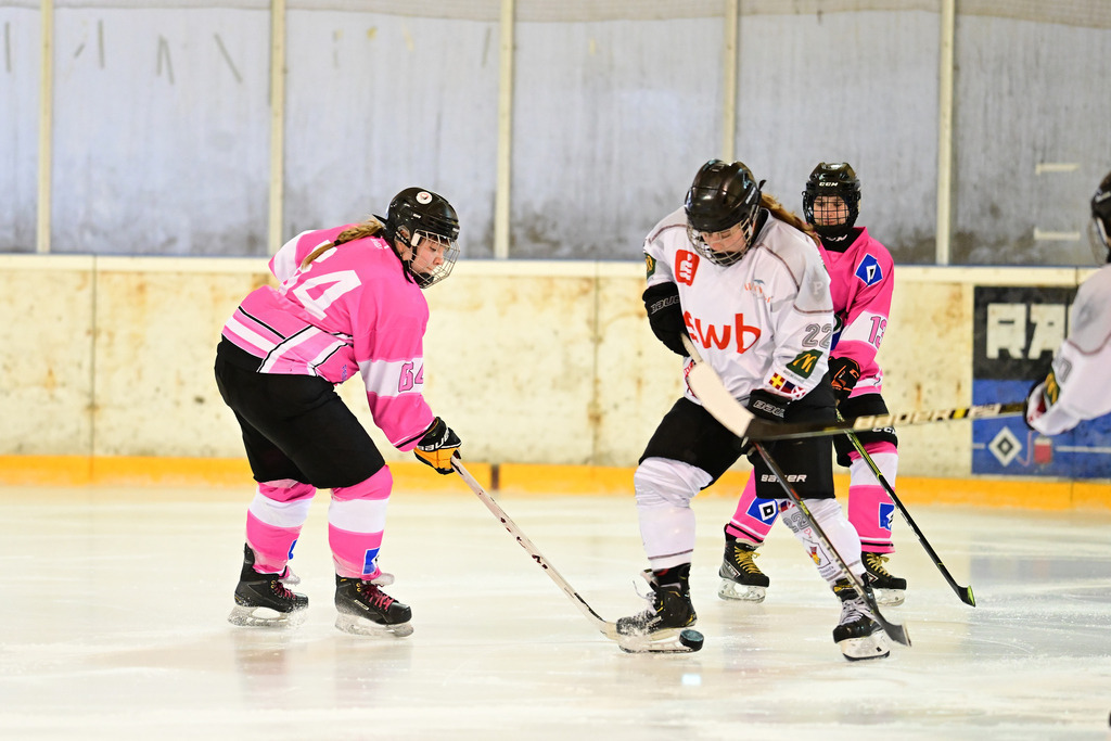 Eishockey I Frauen I Saison 2023-2024 I 1. Frauenliga Nordost I Hamburger SV - REV Bremerhaven | Der Sportfotograf. - Realisiert mit Pictrs.com