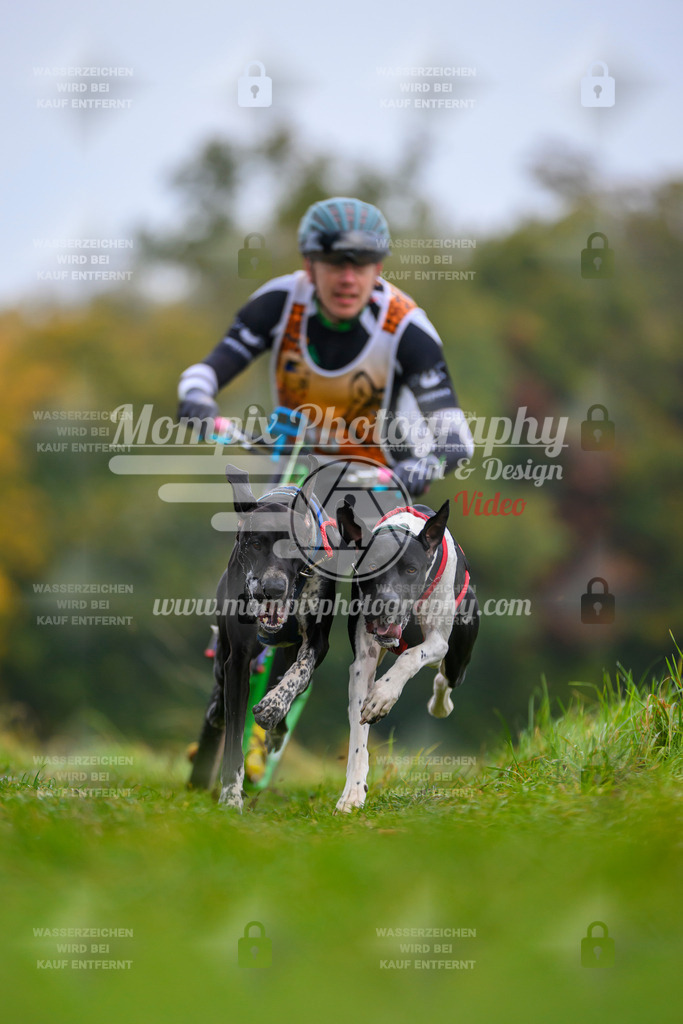 MompixPhotography_CDLBDB2025_DI_DS-4 | PayLife
