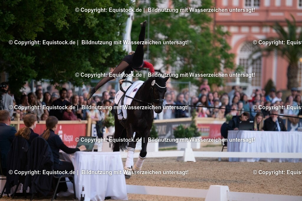 20230527_Voltigieren_NASPA_Flutlicht_0212 | equistock