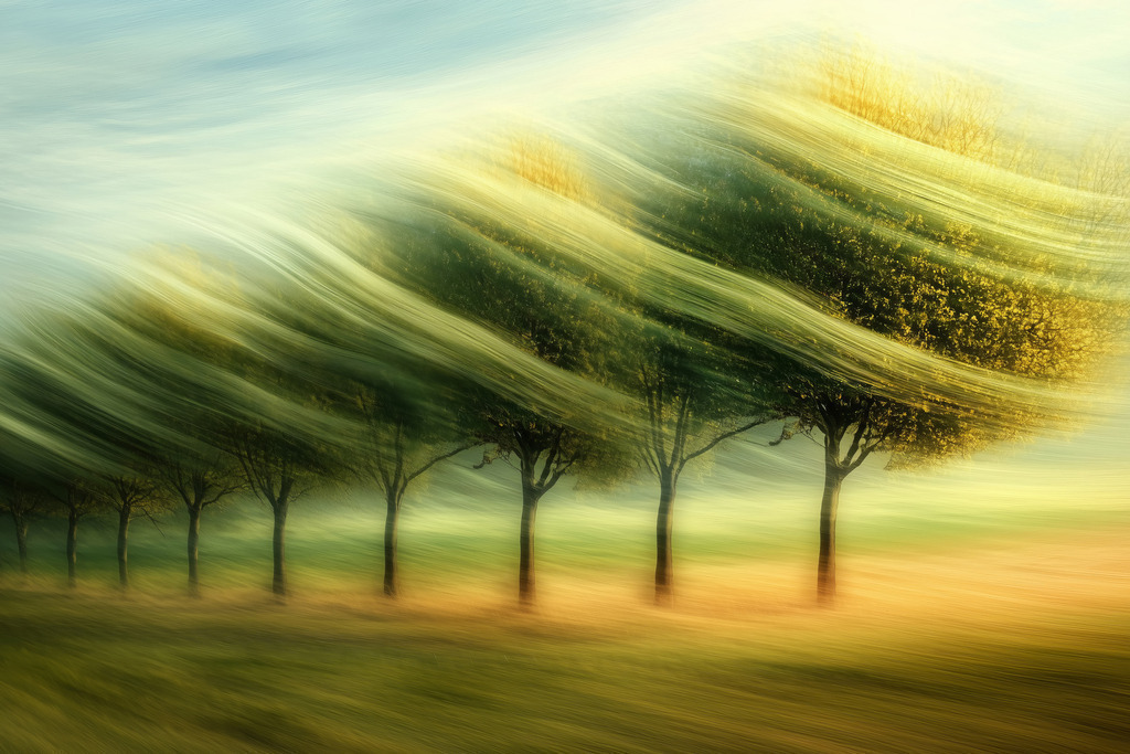 2501015 - Windiges Feld | Bäume im Wind im Stil einer Langzeitbelichtung.