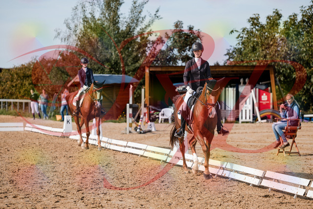 2026_10_03_Siefer-Hof_132909_Z63_91113335 | Professionelle Reitsport-, Turnier- und Eventfotografie von Robert Broda. Galerien mit ausgewählten und bearbeiteten Bildern direkt online ansehen und bestellen.