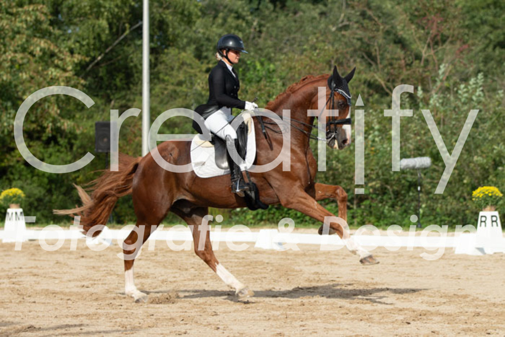 IMG_4265 | Creatify Fotografie