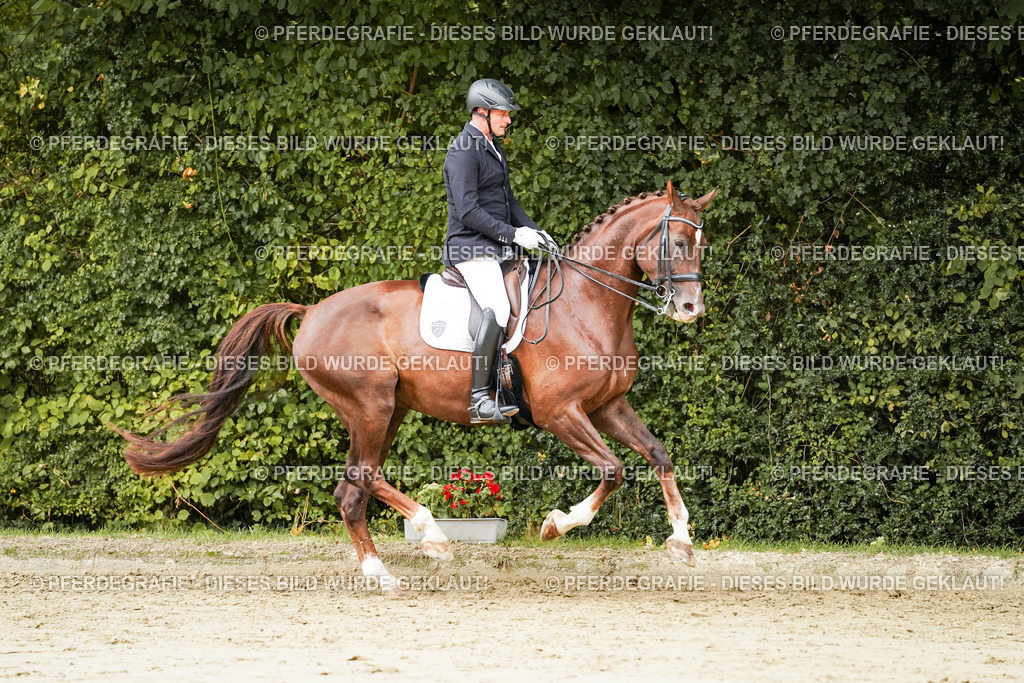 DSC03756 | Pferdegrafie