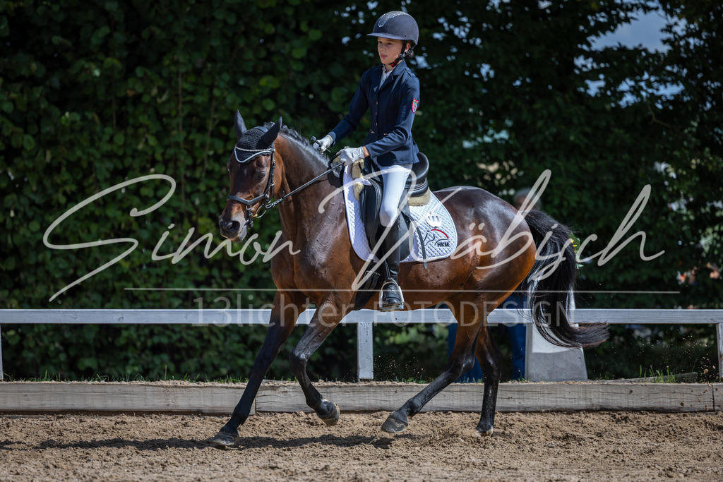 20260905-_3LI8356 | Tierfotografie Pferde, Hunde, Katzen, Haustiere.
Turnierfotografie Reitturniere, Reiten, Springreiten, Dressur in Hanau, dem Main-Kinzig-Kreis und dem Rhein-Main- Gebiet um Frankfurt