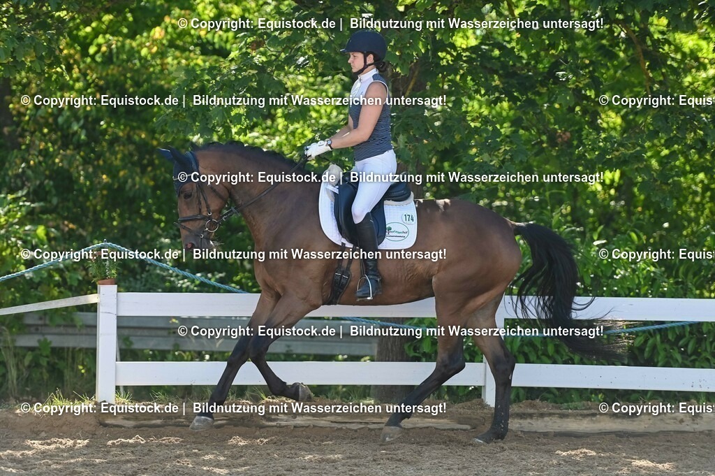20230715_06_Dressurpferdeprfg. Kl.A_0408 | equistock